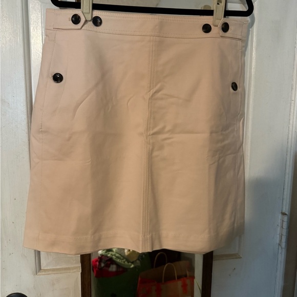 Ann Taylor Dresses & Skirts - Ann Taylor Blush Button-Accent Skirt